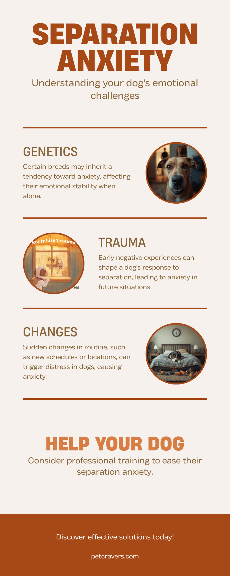 Understanding Separation Anxiety in Dogs: Causes, Signs & Effective ...