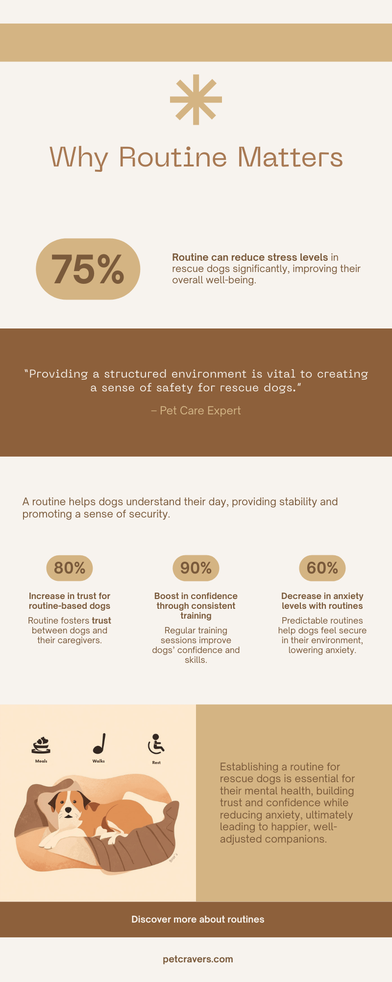 Why Routine Matters for Rescue Dogs