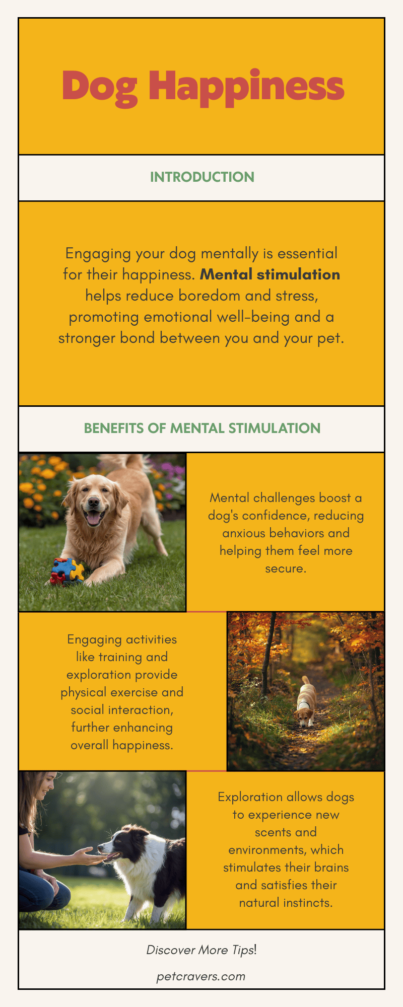 Mental Stimulation = A Happier Dog