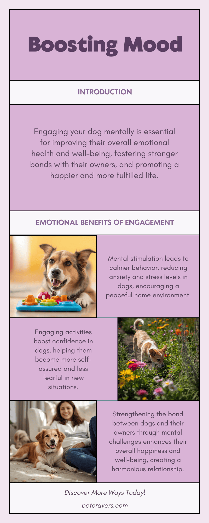 How Mental Engagement Boosts Emotional Health