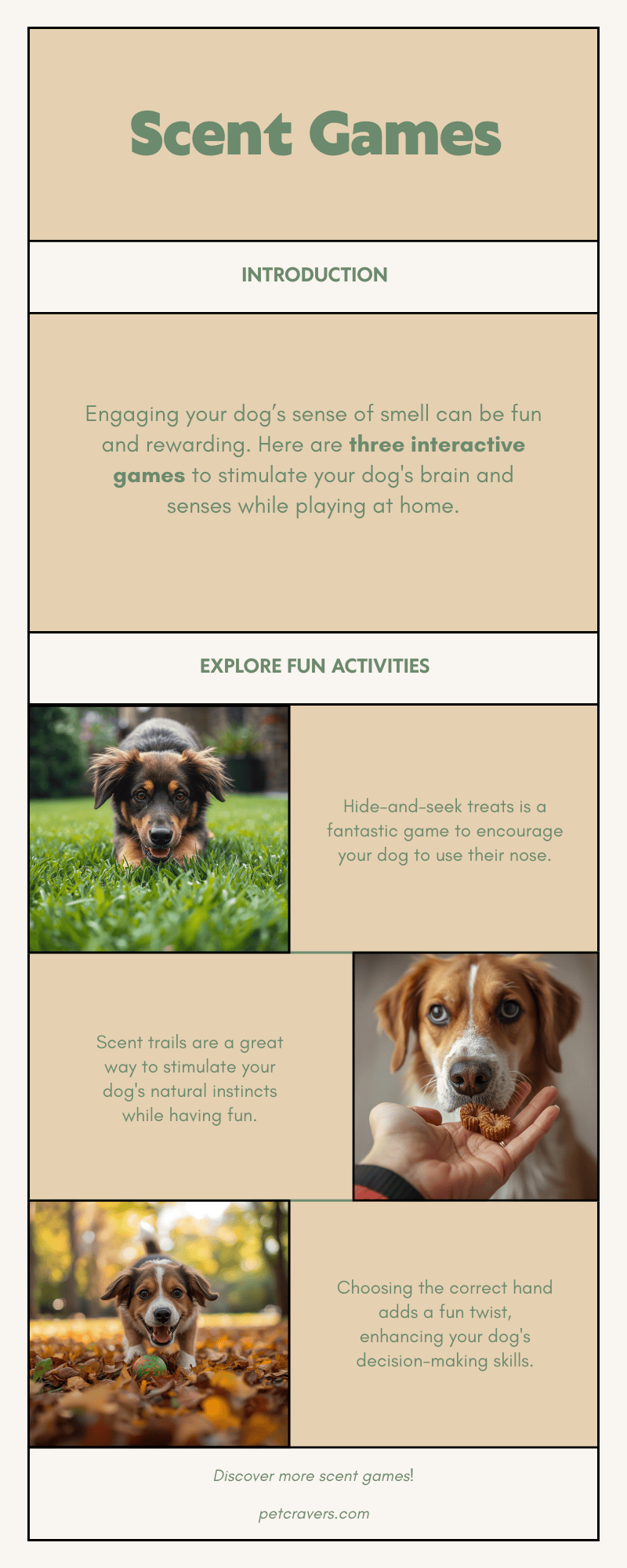 Popular Types of Scent Games