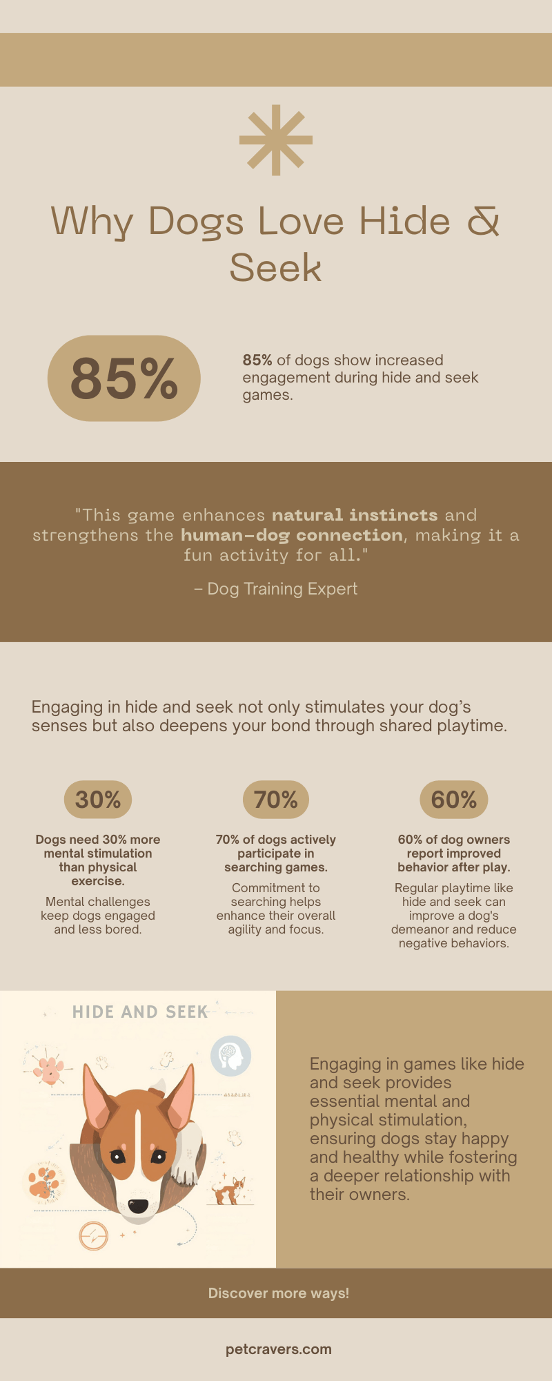 Why Dogs Love Hide & Seek