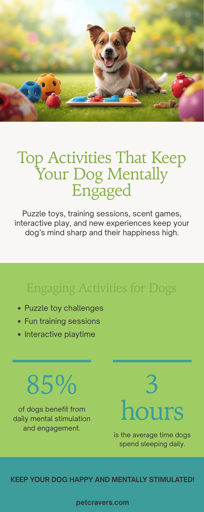 Activities That Stimulate Your Dog’s Brain