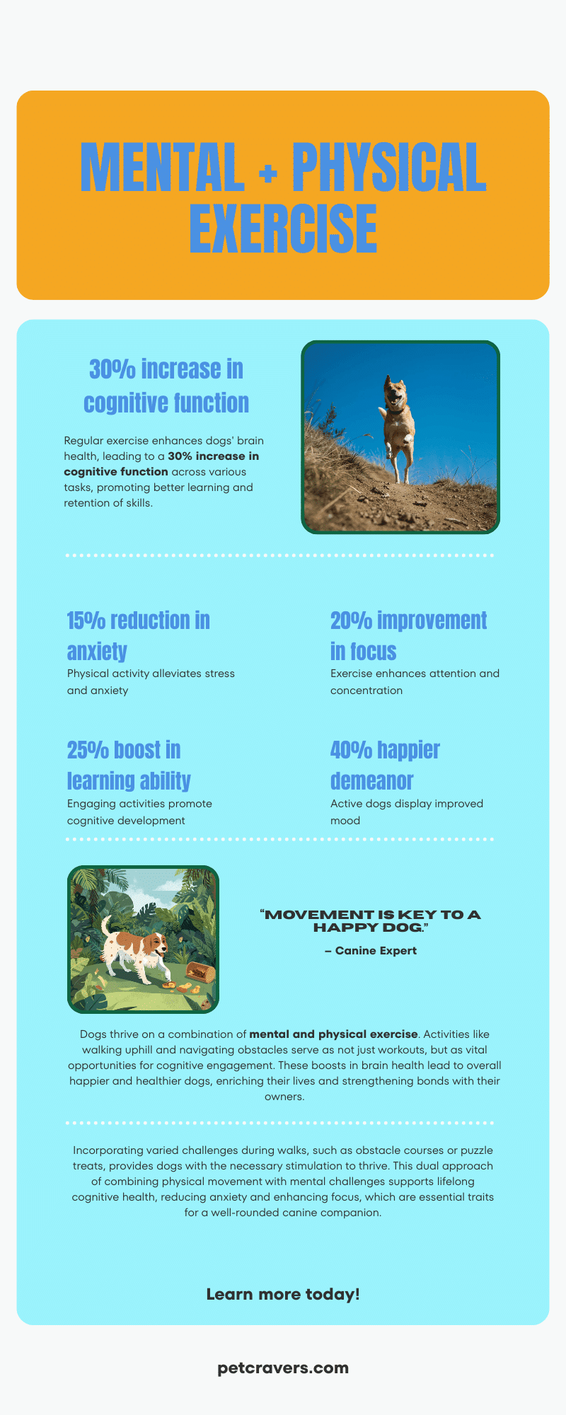 Mental + Physical Exercise = A Happier Dog