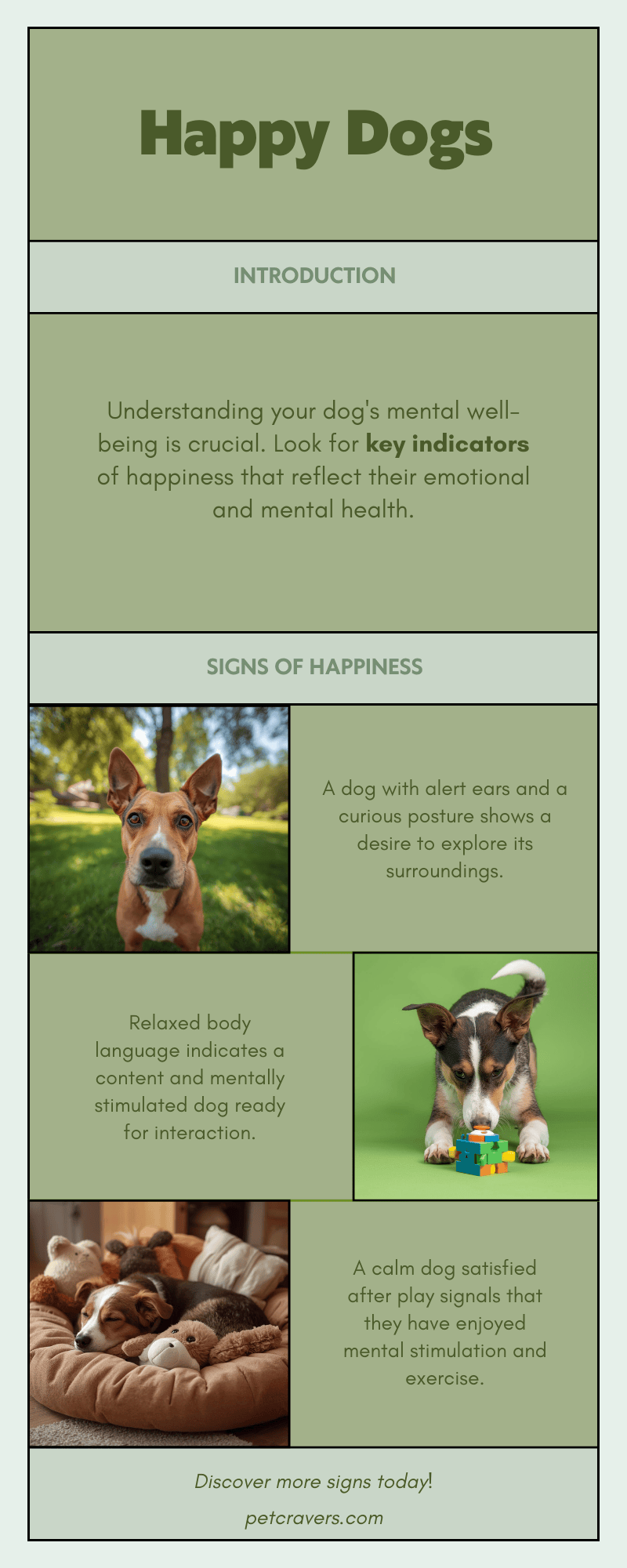Signs of a Mentally Happy Dog