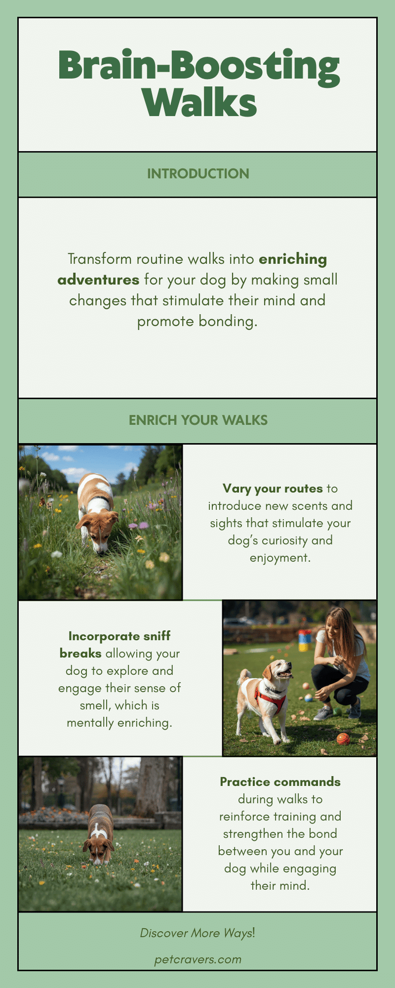 Turn Every Walk into a Brain-Boosting Adventure