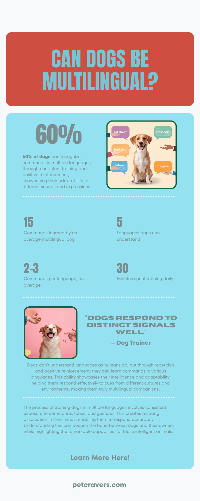 Can dogs learn multiple languages