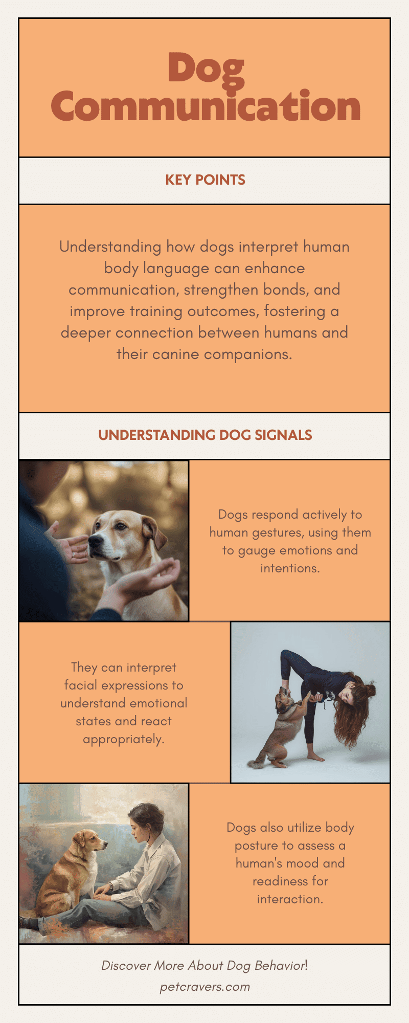 Can Dogs Understand Human Body Language? How Dogs Read Gestures ...