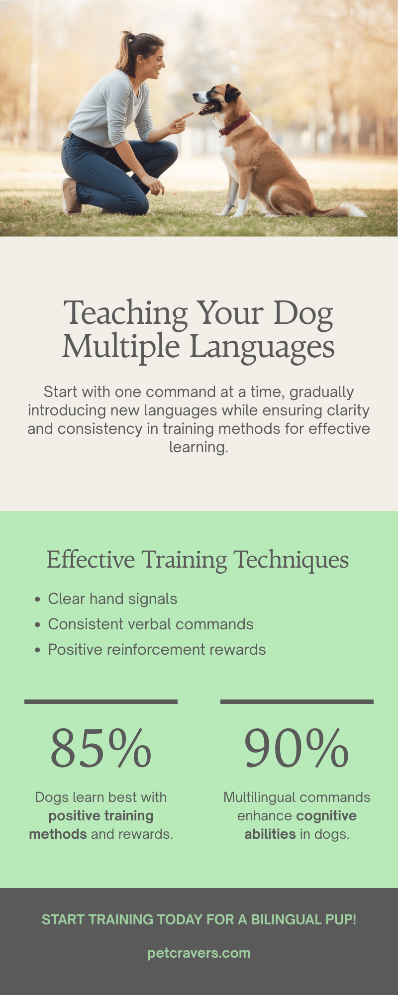 Can dogs learn multiple languages & Teaching Your Dog Multiple Languages