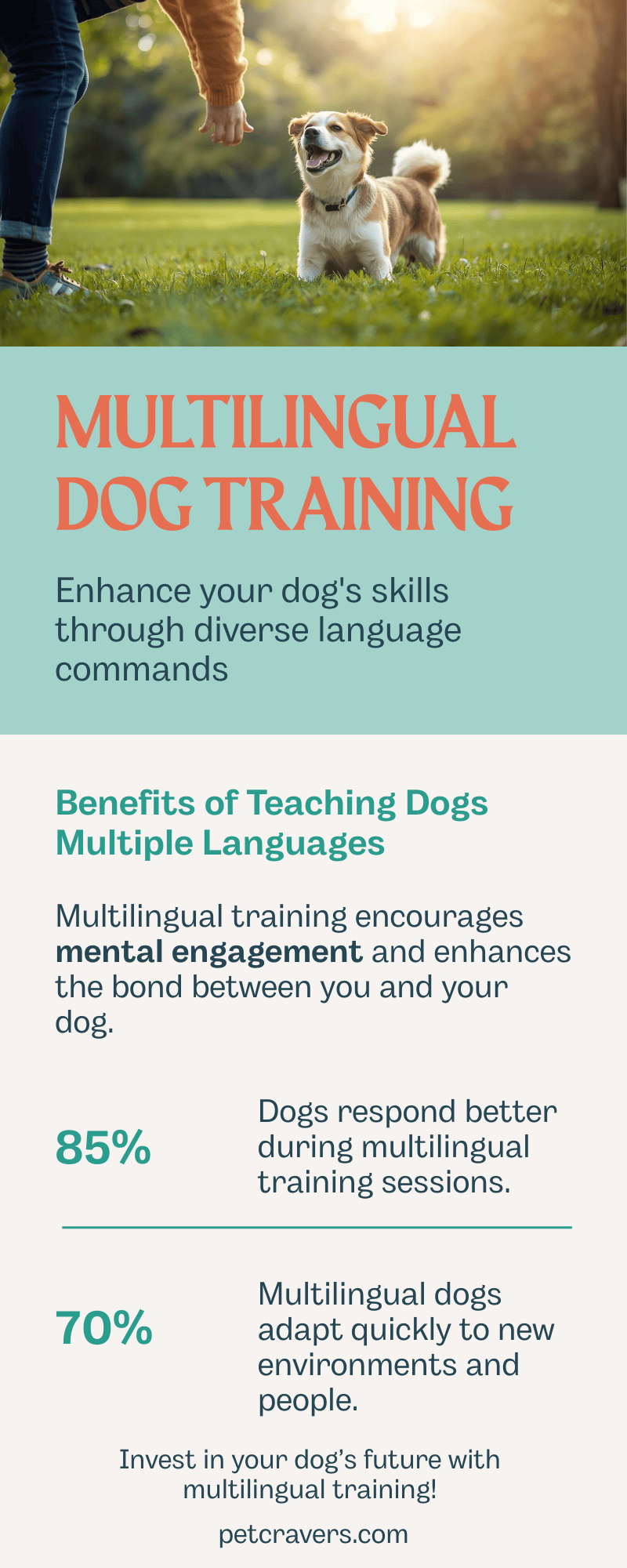 Can dogs learn multiple languages & Benefits of Multilingual Dog Training