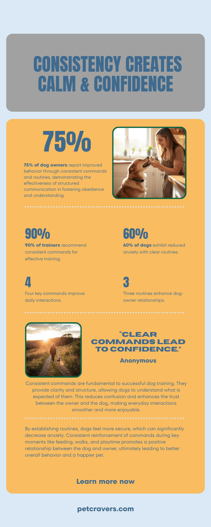 Everyday Benefits of Consistent Commands