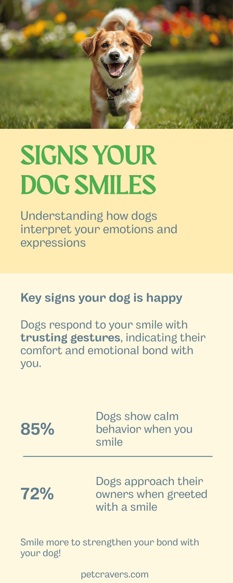 Signs Your Dog Knows You’re Smiling