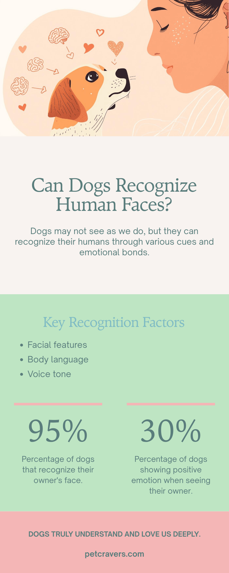 Can Dogs Recognize Human Faces