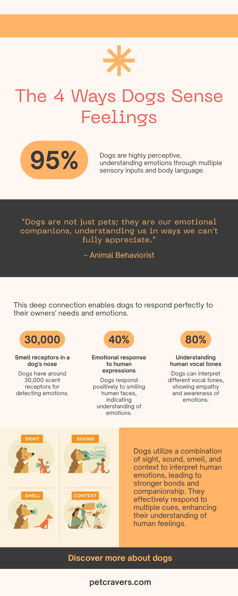 How Dogs Detect Emotions Using Multiple Senses