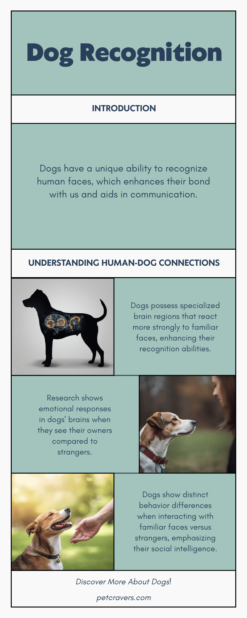 The Science Behind Dogs Recognizing Faces