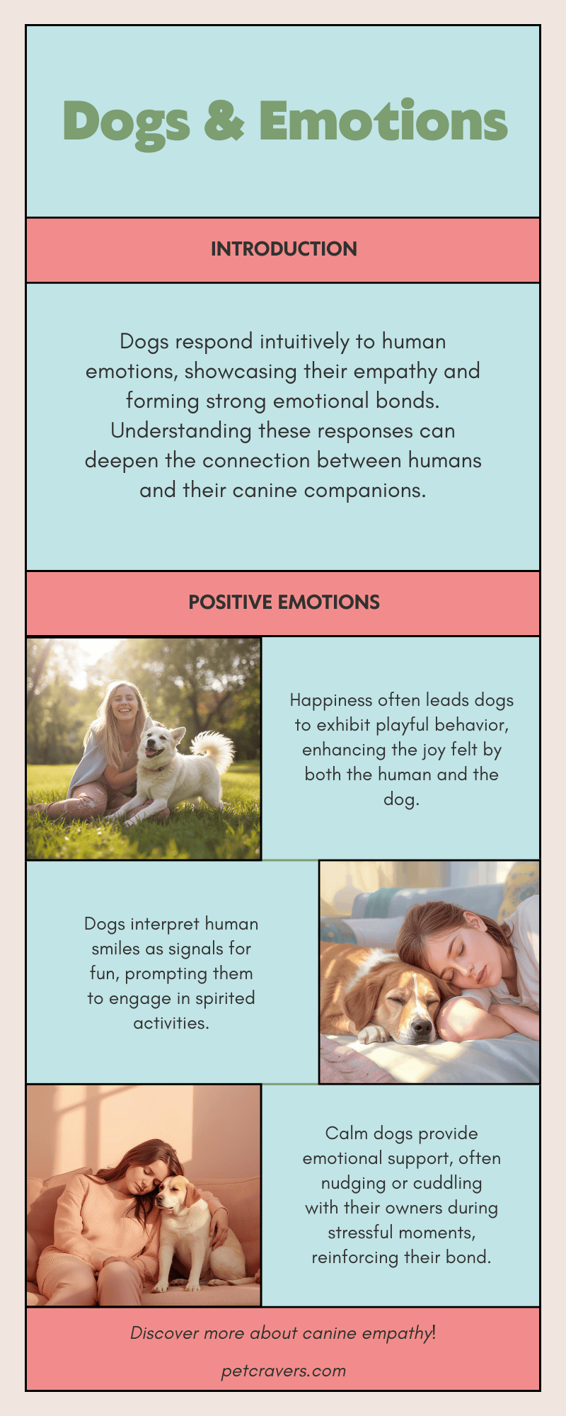 How Dogs Respond to Human Emotions