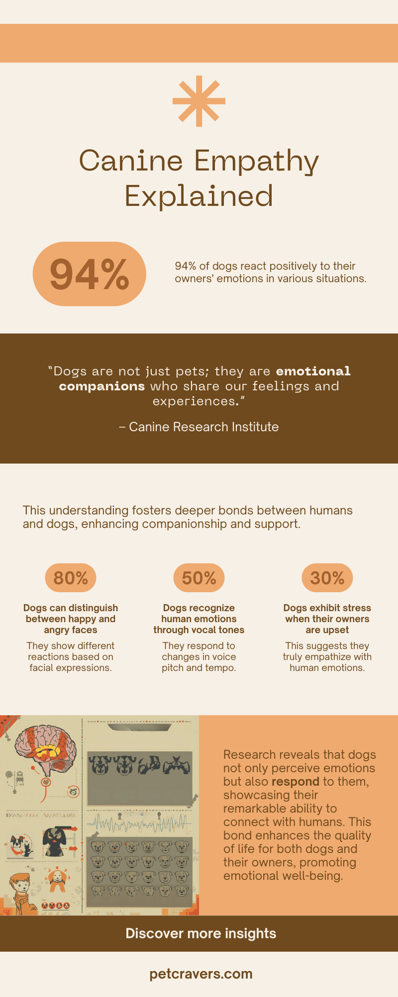 Science-Backed Proof Dogs Feel What We Feel