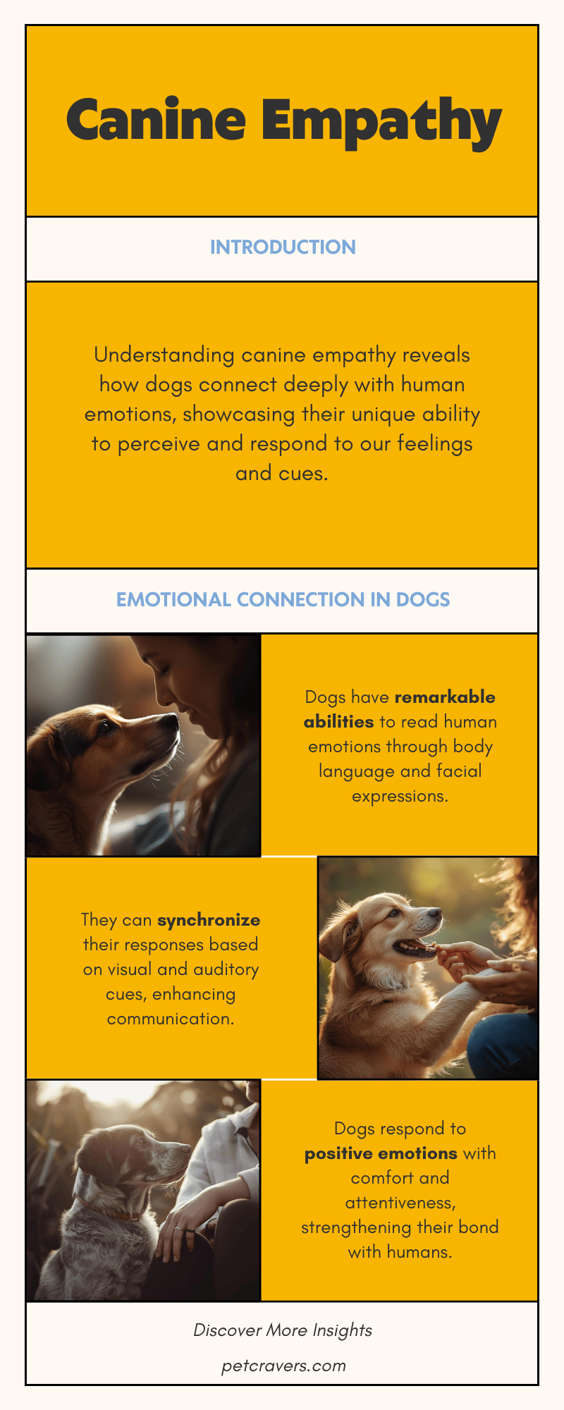 Canine Empathy